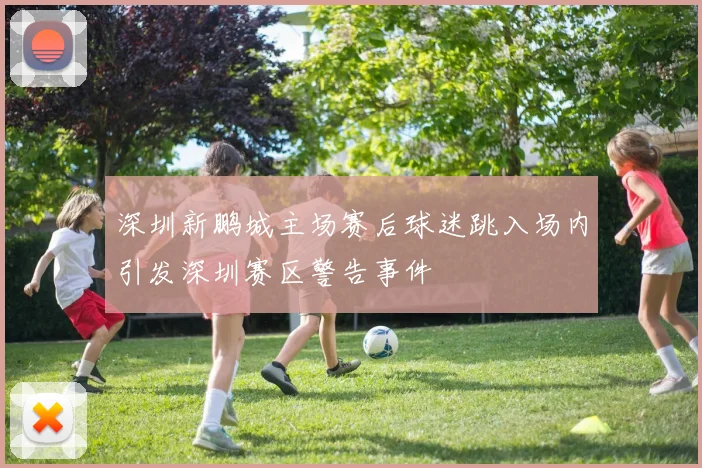 深圳新鹏城主场赛后球迷跳入场内引发深圳赛区警告事件